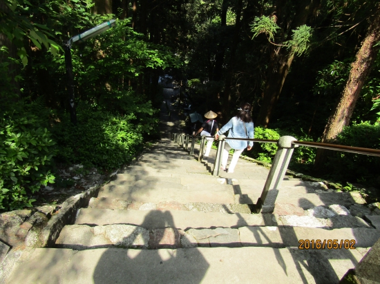 青龍寺の石段、涼し気です。