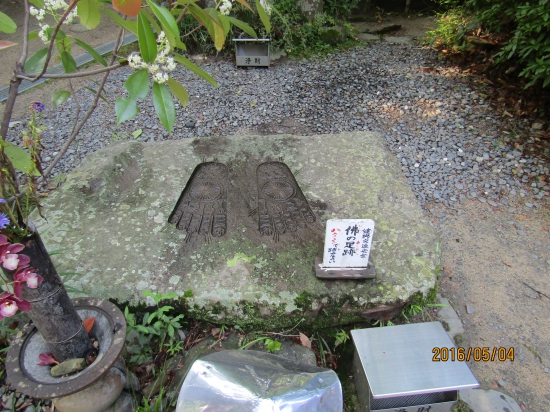 浄瑠璃寺、仏様は、大きいんだね、推定するに身長３メートルくらいかな。