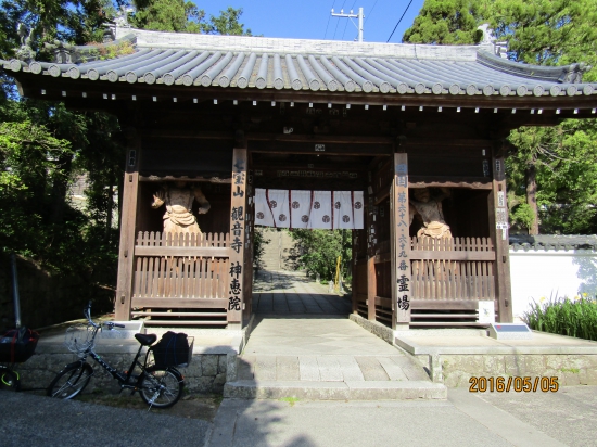 神恵院、観音寺、仁王門