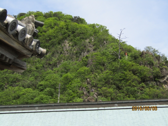 左の瓦は鐘つき堂、下の屋根は根本御堂、屋根の少し上に、お姉さまが必しで登っているのが映っていた、その右斜め上に、オレンジ色のお地蔵さまが居て、その右斜め上に小さく赤い頭巾が見える、そこが例の身を投げた現場である。