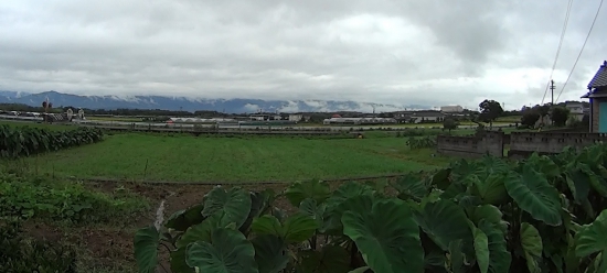 遠くに見える山々、このどこかに焼山寺が・・・