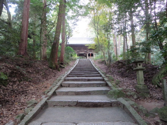 長い石段の先に山門。。。石段は、きれいに掃除されてます。