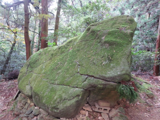 苔の大きな石・・牛石（口に草を差し込んでいる）