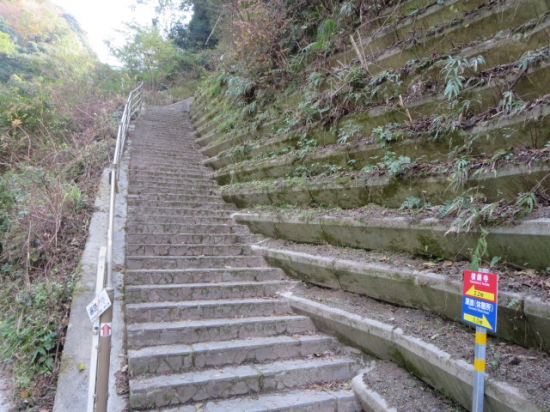 この石段を登って山道へ入ります。