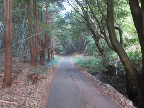 写真は明るく写っているけど、薄暗くて一人で歩くのは気味が悪かった～またまたずっと坂道！