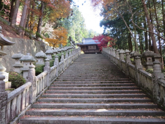 ロープウェイで上がってきたというのに　更にすごい石段！