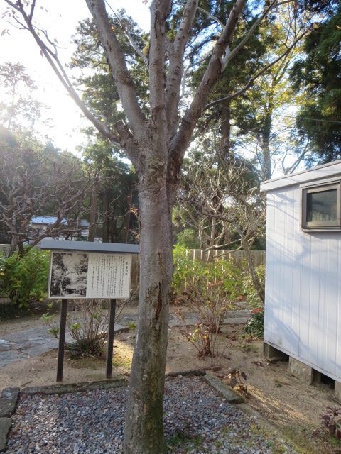 玉章の木　崇徳天皇が都をしのんで「啼けばきく　きけば都の恋しさに　この里すぎよ山ほととぎす」と詠んだところ、玉章の木で鳴いていたホトトギスが葉をくちばしに巻き、声を出さないようにしたという。