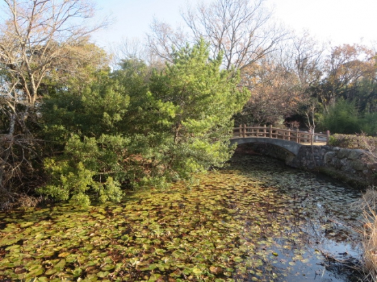 瑠璃宝の池（血の池）