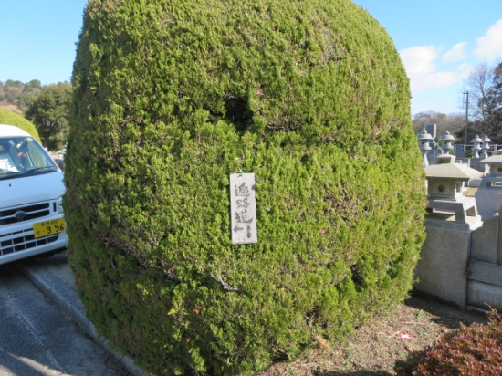 すご～い数の墓地や～って驚いていたら、「ヒャあ～、知っている人のご家族のお墓を発見！」ここは、有名な大谷霊園でした。お墓の中が遍路道、所々に道しるべが有りました。