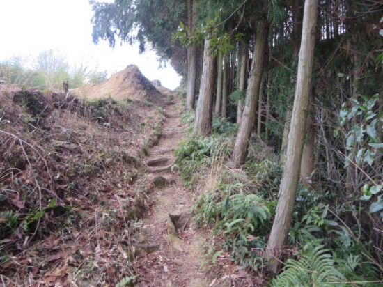 更に山道登ります。下から見えた山の上の建物まで行くんだから～でも、冬だから、草もなく　通り易く木も切ってくれてます。