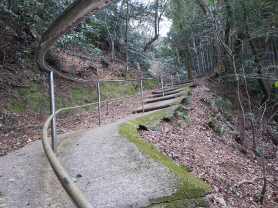 さらにさらに石段を登ります。