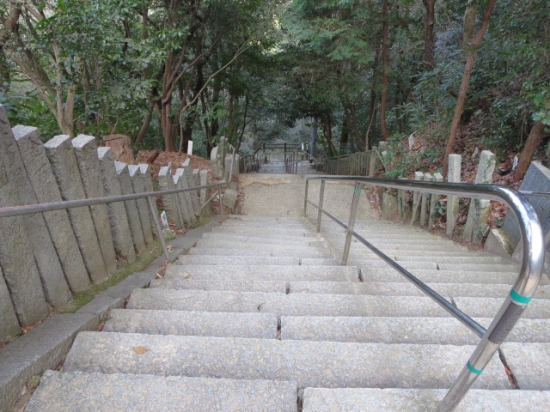 また、この石段降ります。でも降りるのは　楽ちんで速い。「もしかしたら、国分寺も行けたかもね。でも車のところまで帰って来ないといかんしね～・・」なんて言いながら帰りました。