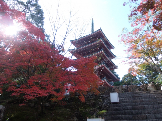 竹林寺五重の塔、夜間は境内をライトアップしています。