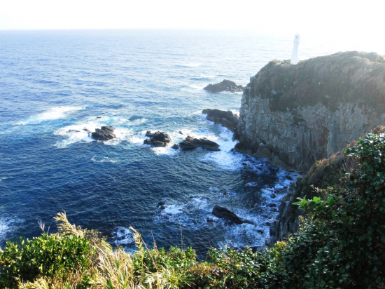綺麗な海の色、打ち寄せる波、切り立った崖、白い灯台、同じ高知県の岬でも室戸岬とはまた違う光景でした。
