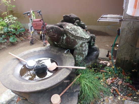 浄瑠璃寺の手水場にいる亀？