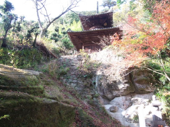 陽があたると多宝堂も紅葉に栄えます。でもこの日は雨が降るのです、