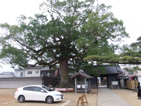 この日は長尾寺の境内の駐車場には一般の人はわずかでした。