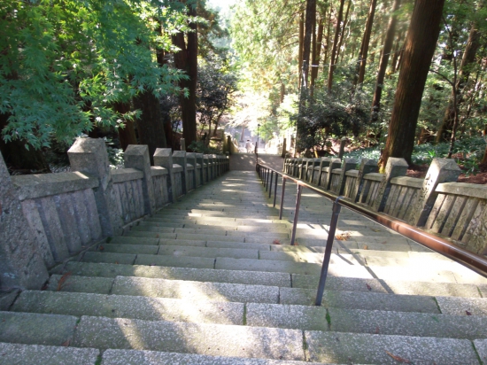 箸蔵寺本堂への階段から見下ろしました。