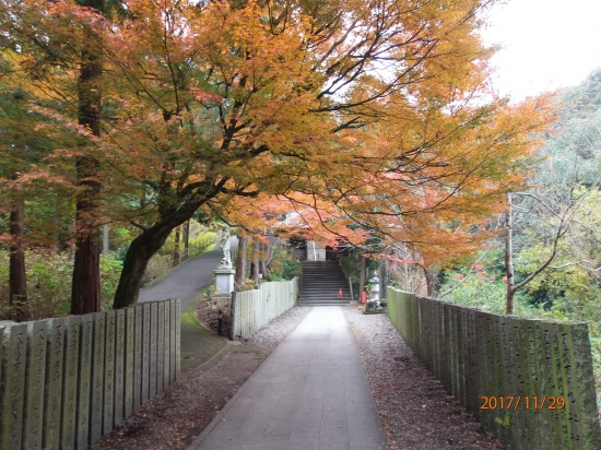熊谷寺参道の紅葉。