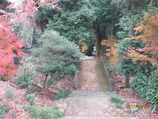 大山寺中門から山門方向を見ました。参道の石段は２６０段あります。