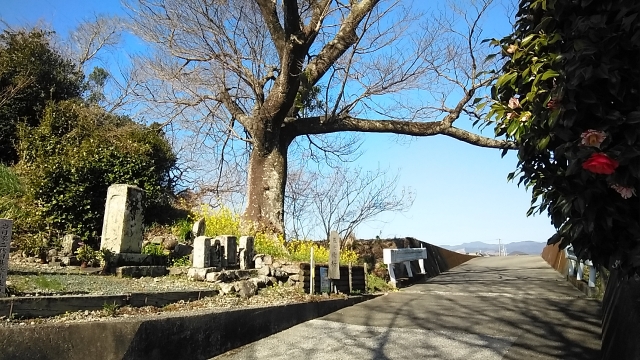 松本大師堂、陽当りが良く居心地が良かったです。