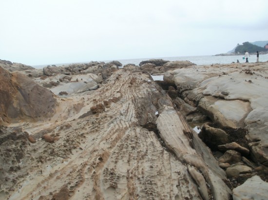 竜串海岸