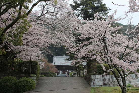 繁多寺