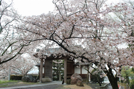 繁多寺